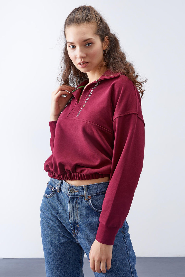 TMY Purple Polo Neck Hem Ruffled Women's Oversized Sweatshirt - 97180 - Indio