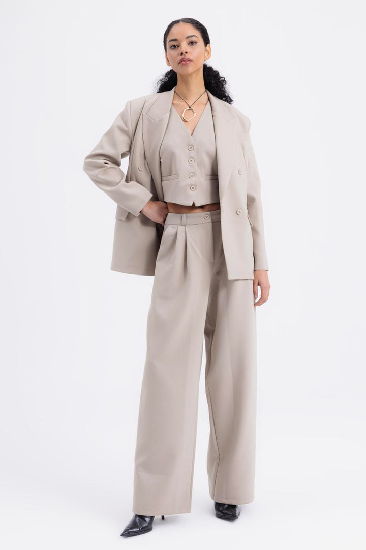 BSL Women Pleated Fabric Trousers - Smethwick