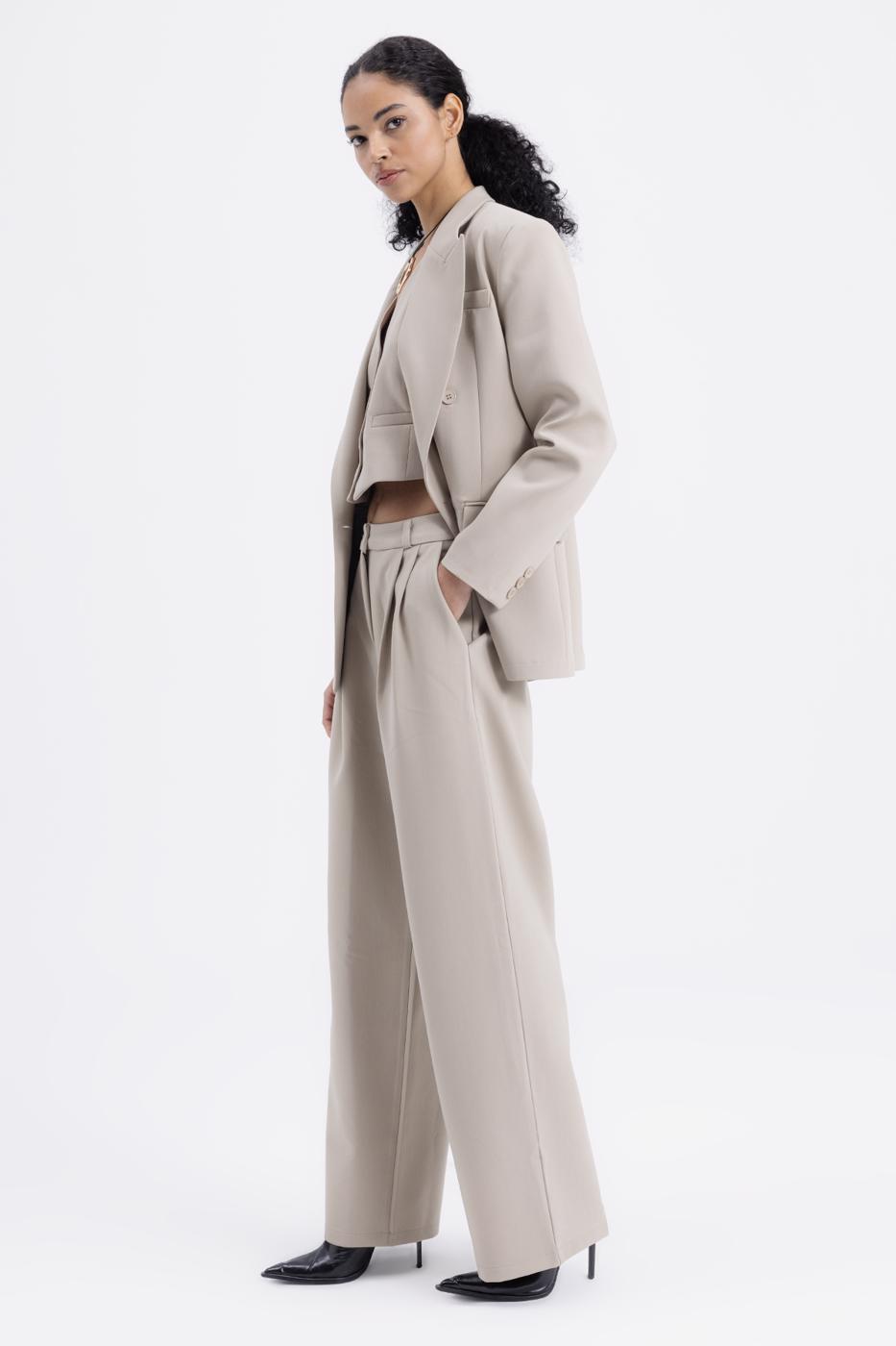 BSL Women Pleated Fabric Trousers - Smethwick