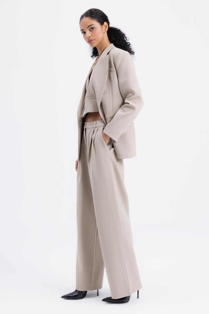 BSL Women Pleated Fabric Trousers - Smethwick