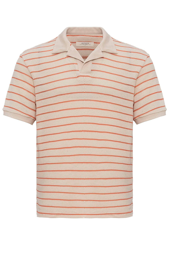 ANT Antioch Salmon Crew Neck Striped Knit Men's T-Shirt - Cambridge