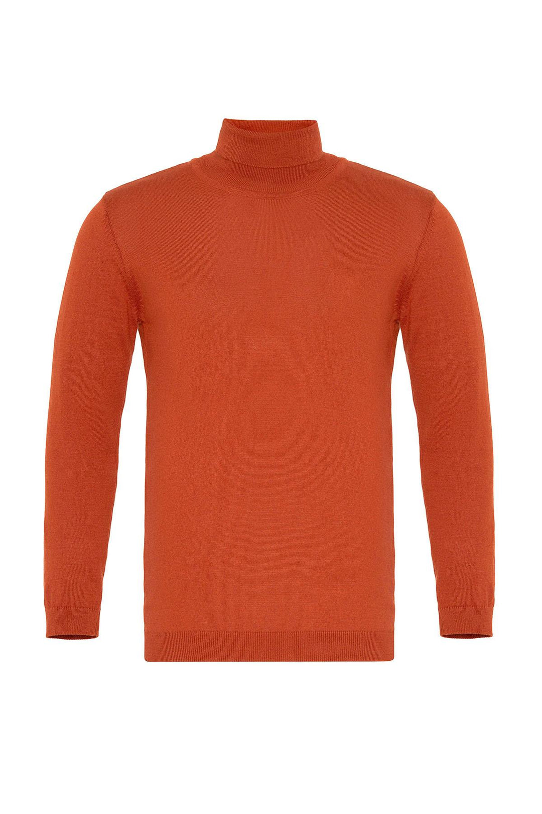 ANT Full Turtle Men's Knitwear - Hastings