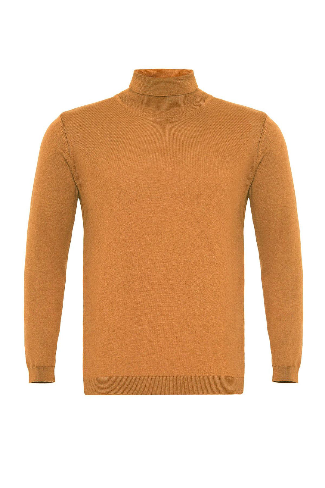 ANT Full Turtle Men's Knitwear - Bitterfeld