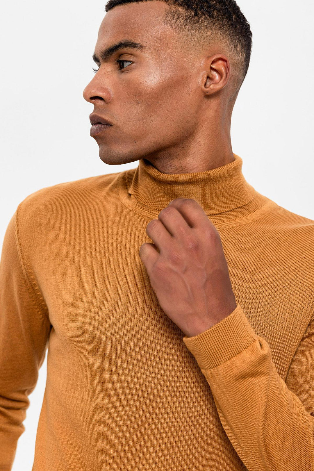 ANT Full Turtle Men's Knitwear - Bitterfeld