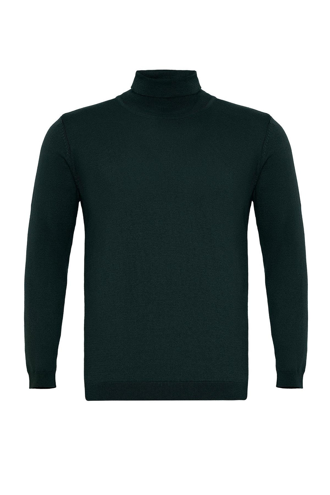 ANT Full Turtle Men's Knitwear - Hoogvliet