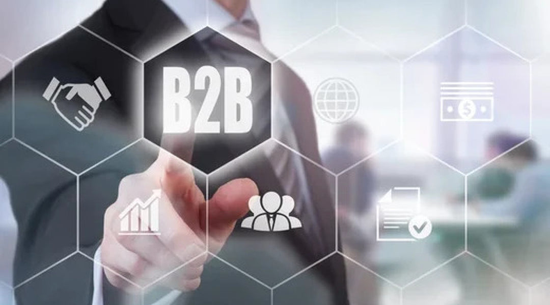 B2B Online Ordering System