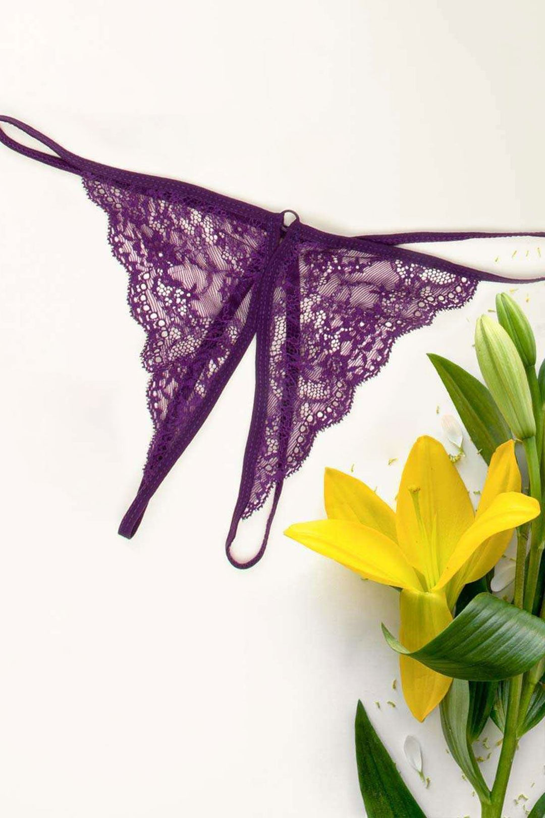 IFO Special Open Fantasy Panties Purple - Sheboygan