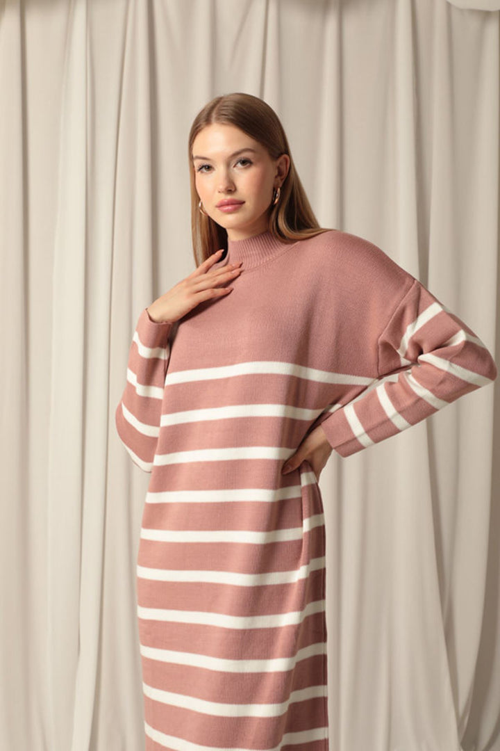 KKT Knit Fabric Turtleneck Striped Dusty Rose Dress - Delmenhorst