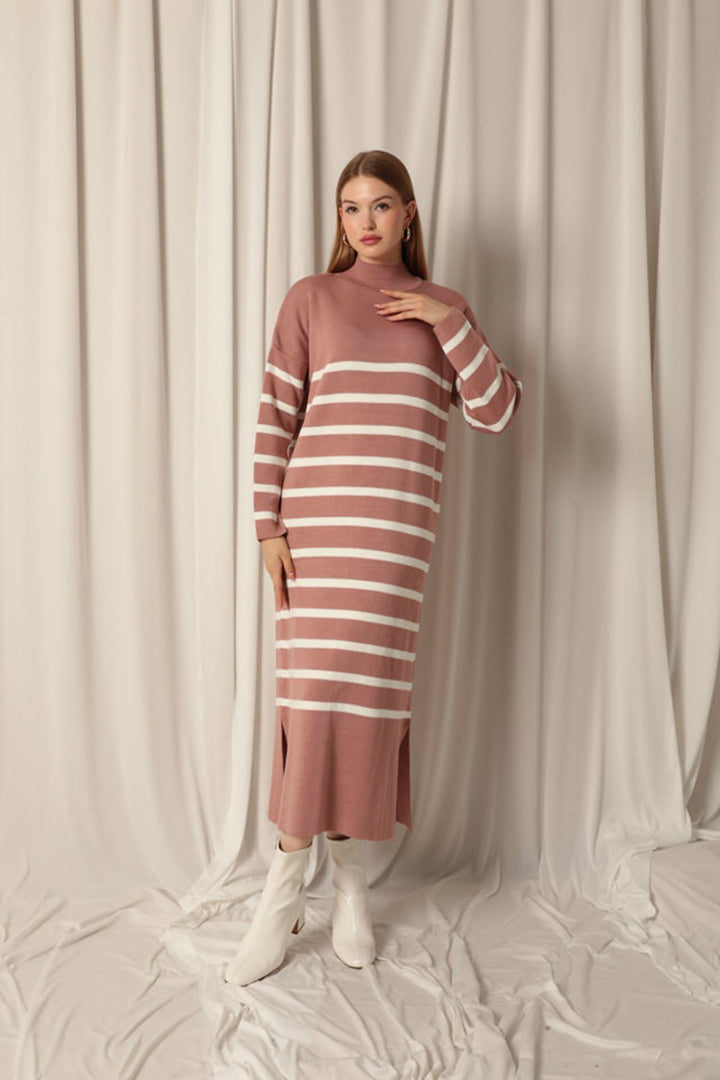 KKT Knit Fabric Turtleneck Striped Dusty Rose Dress - Delmenhorst