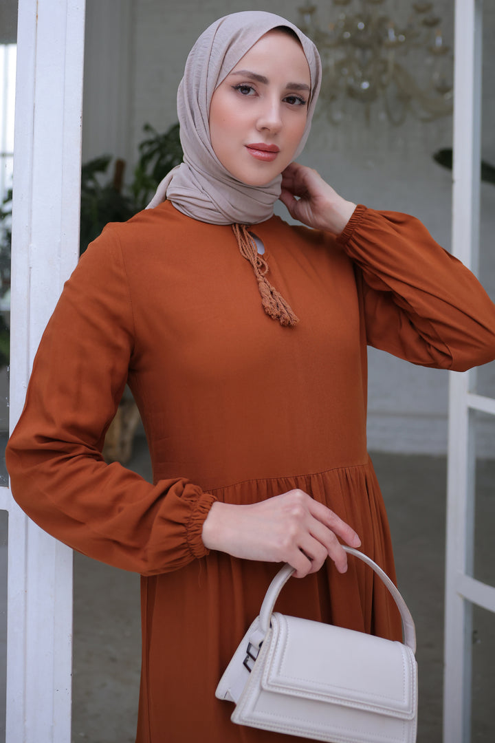 BNG Women Brown Dress with Collar - Clermont