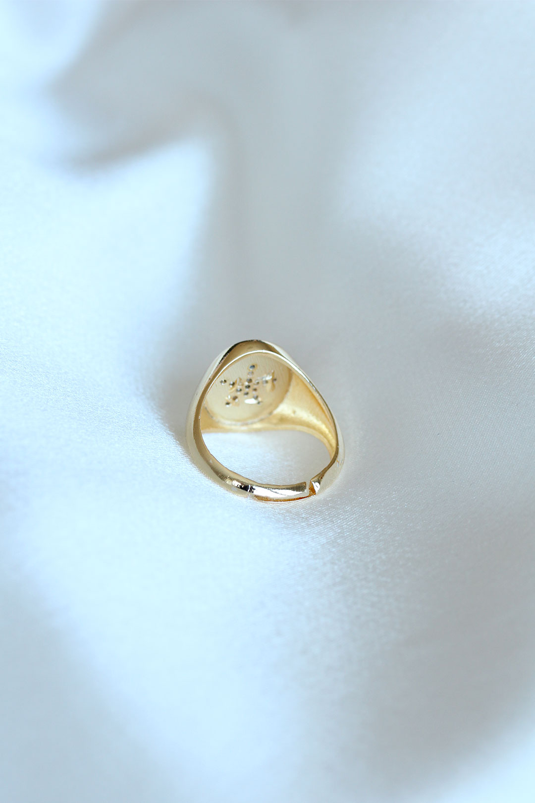 EBJ Star Model Gold Color Ring - East Lansing