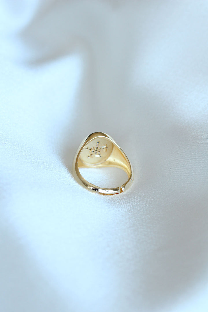 EBJ Star Model Gold Color Ring - East Lansing