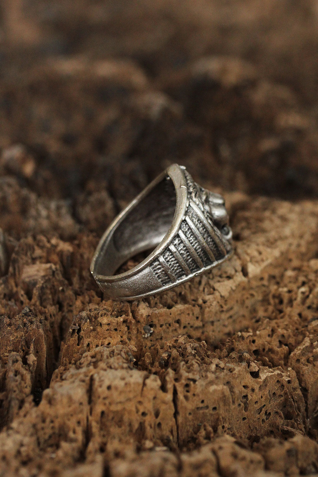 EBJ Adjustable Lion Design Men's Ring - Alafaya