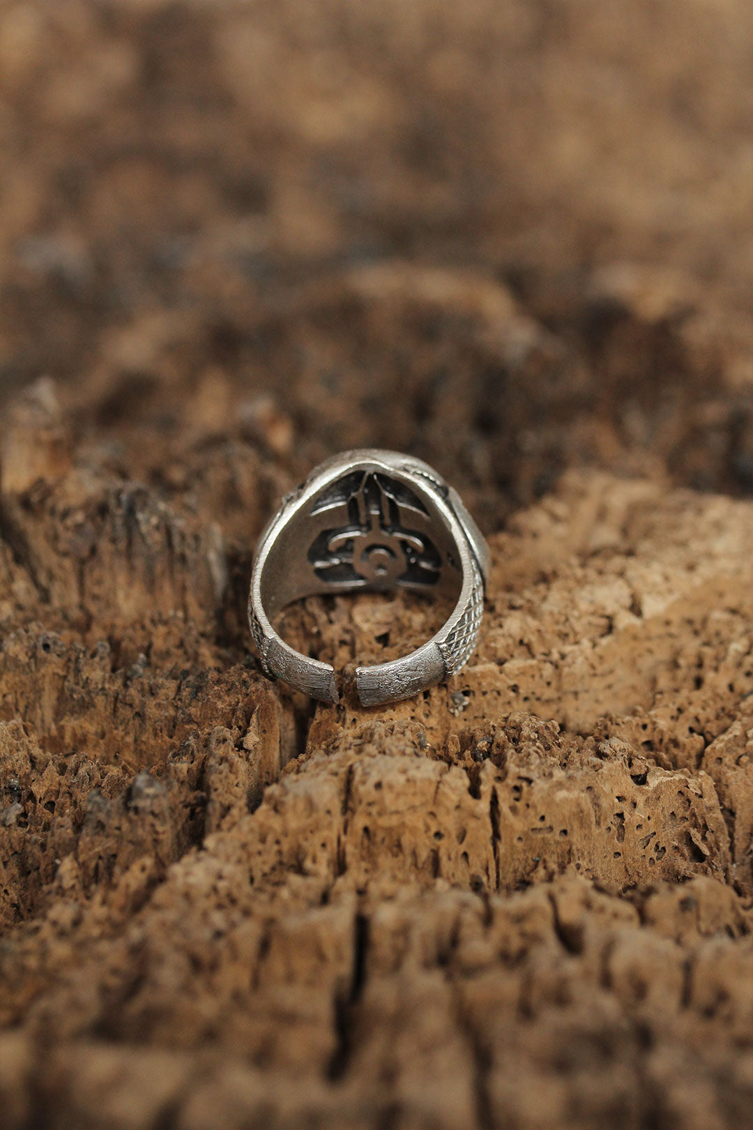 EBJ Adjustable Elif Model Men's Ring - Jacksonville