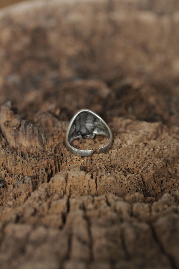 EBJ Adjustable Skull Motif Men's Ring Design - Leominster