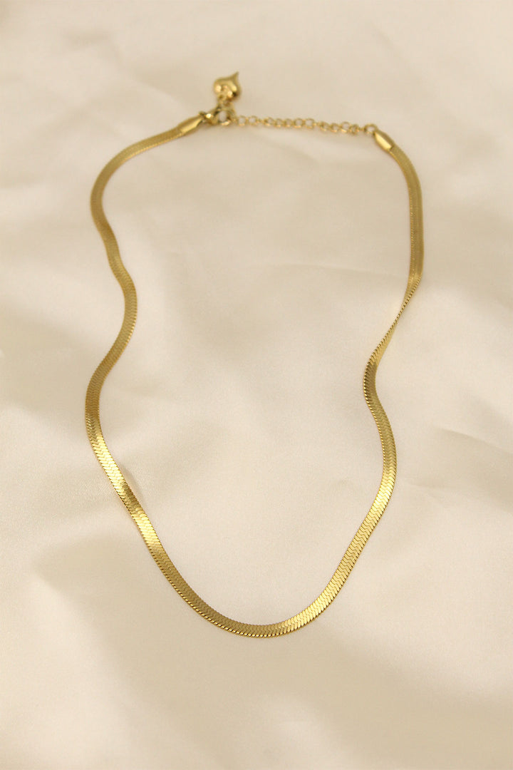 EBJ 316L Steel Gold Color 45 cm Italian Chain Model Women's Necklace - Purísima de Bustos