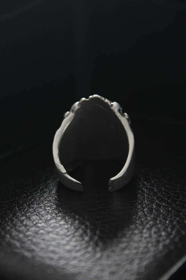 EBJ Skull Shaped Men's Ring in Adjustable Spider Web - Bünde