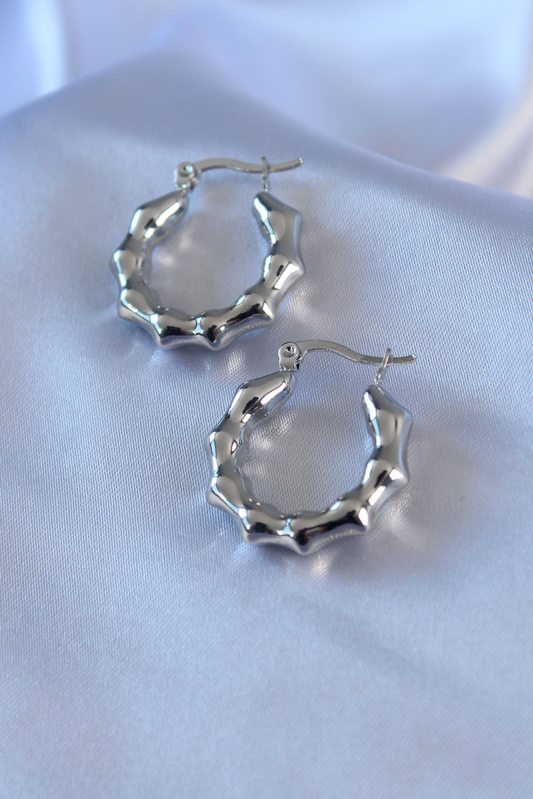 EBJ 316L Stainless Steel Silver Color Ring Model Women's Earring - Wellington