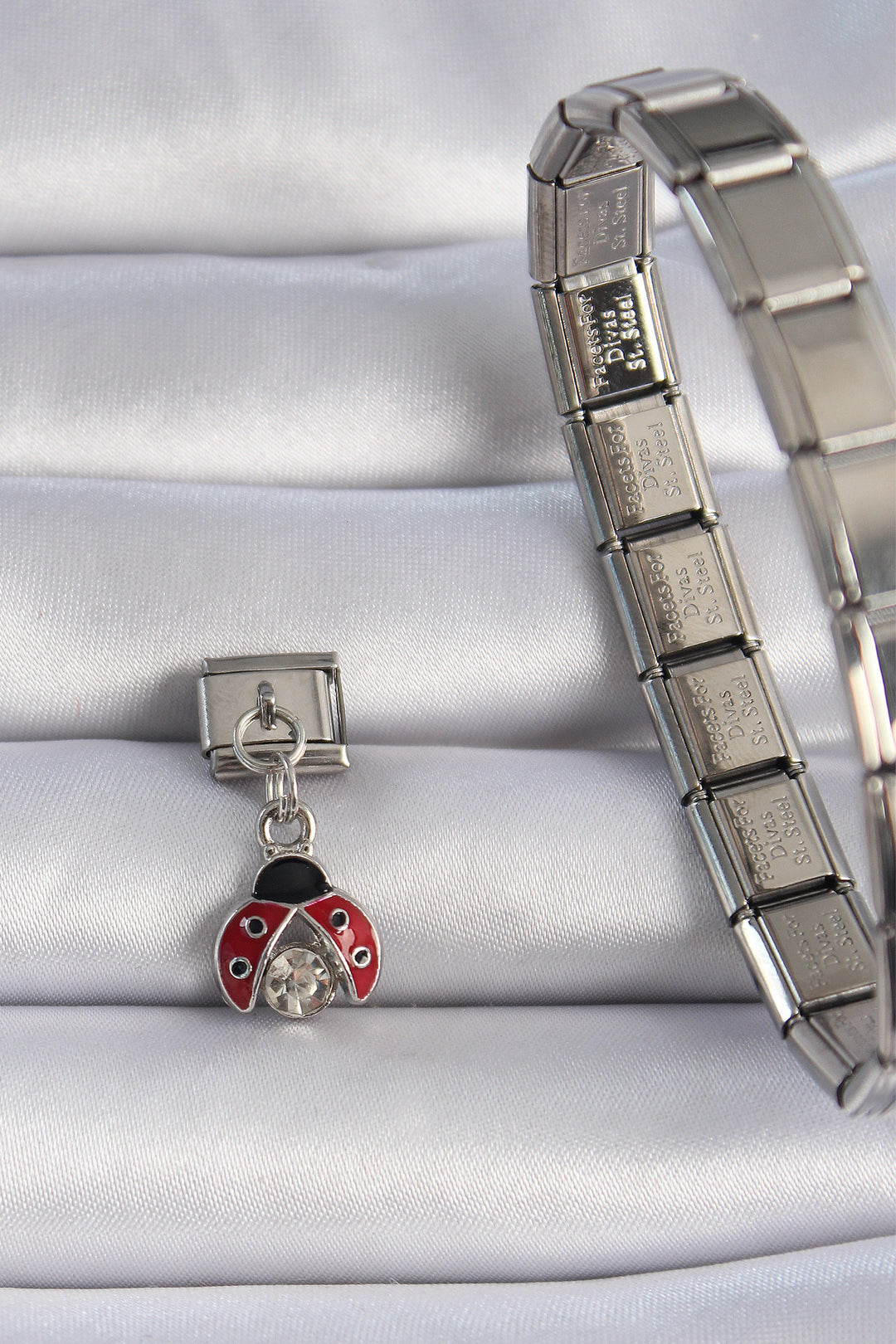 EBJ 316L Stainless Steel Silver Color Dangling Red Ladybug Zircon Stone Detail Nomination Charm - Chelles