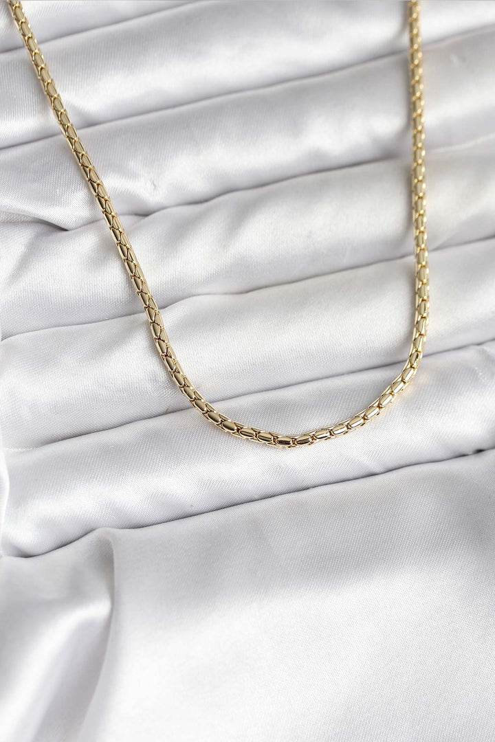 EBJ 14K Gold Renk Kaplama Zincir Model CM Kadın Kolye - Coral Gables