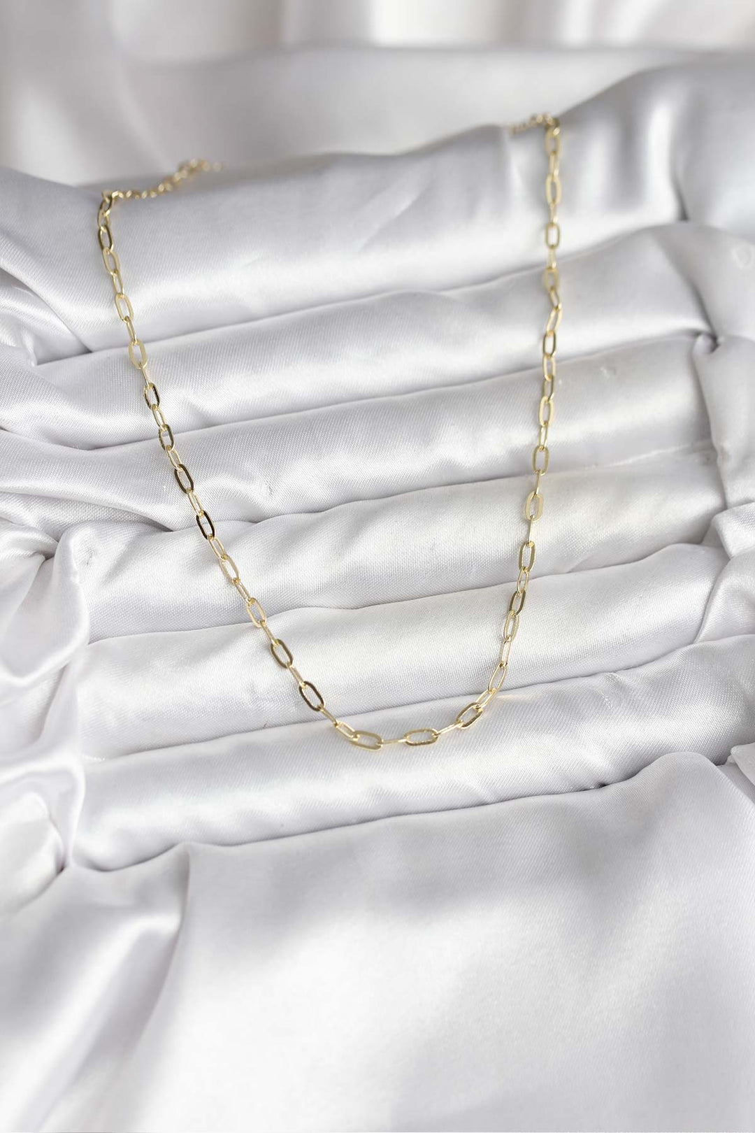 EBJ 14K Gold Renk Kaplama Ataç Zincir Model CM Kadın Kolye - Guasave