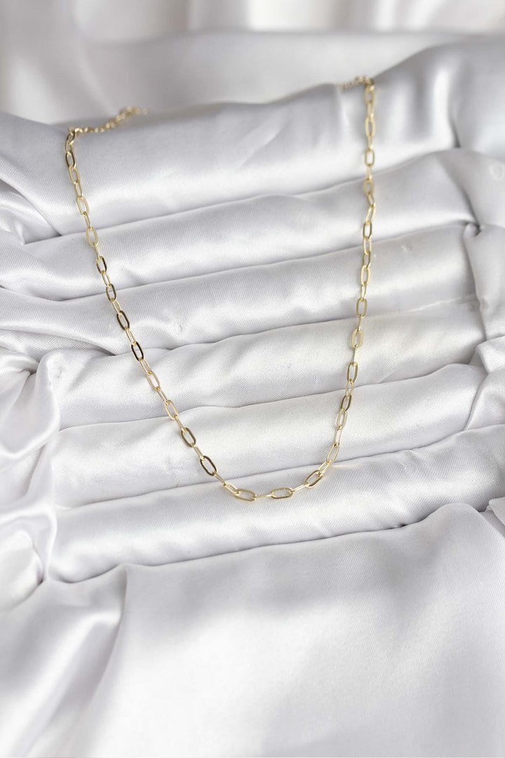 EBJ 14K Gold Renk Kaplama Ataç Zincir Model CM Kadın Kolye - Guasave