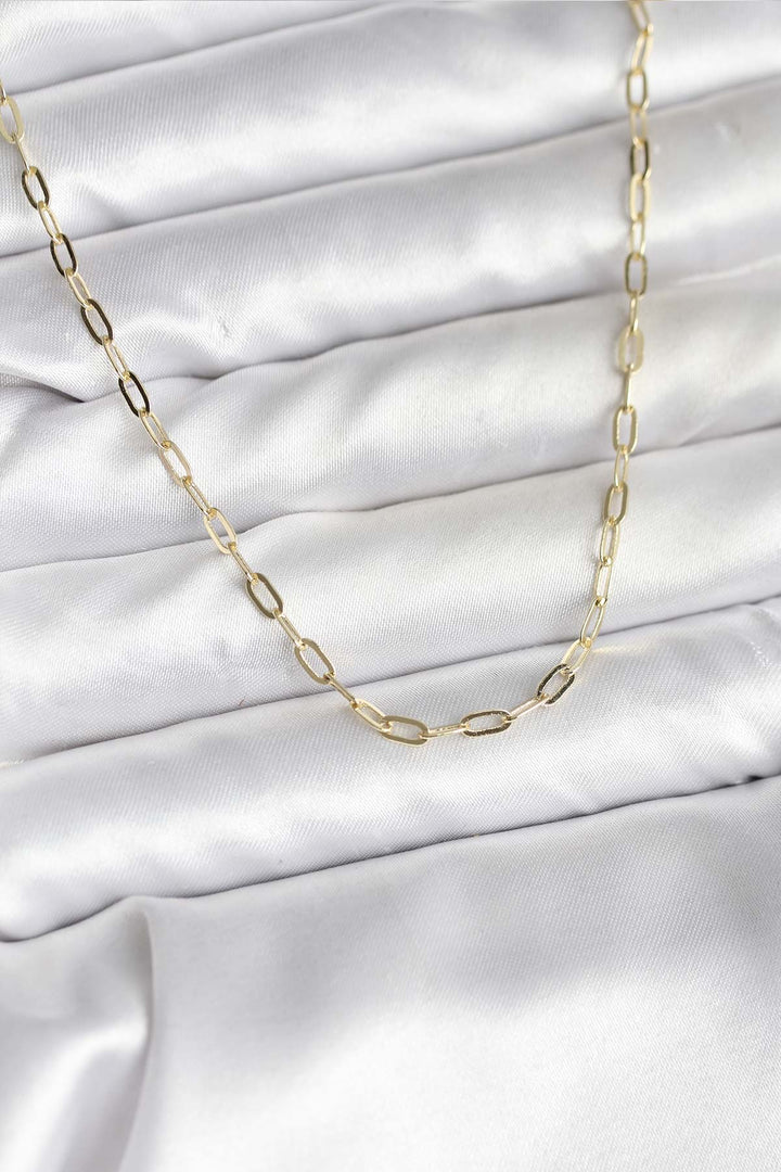 EBJ 14K Gold Renk Kaplama Ataç Zincir Model CM Kadın Kolye - Guasave