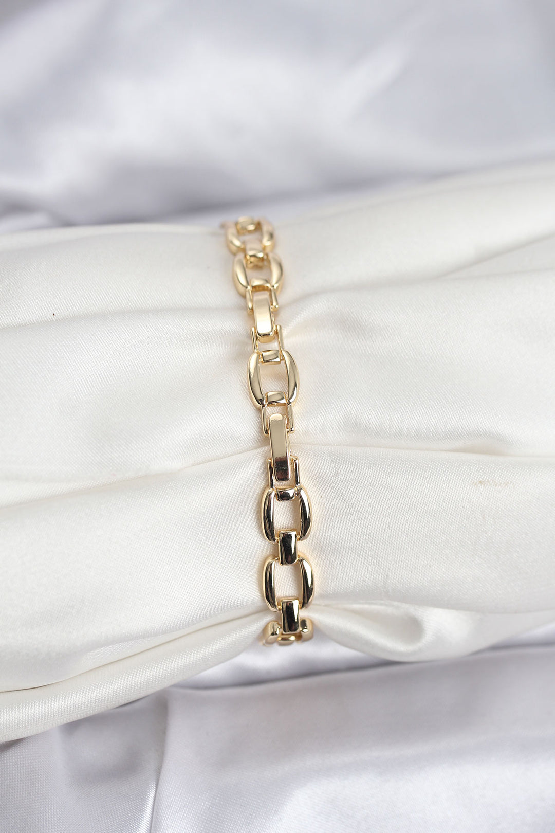 EBJ Rice Gold Color VIP Series Chain Model Zircon Stone Women's Bracelet - Boyarka