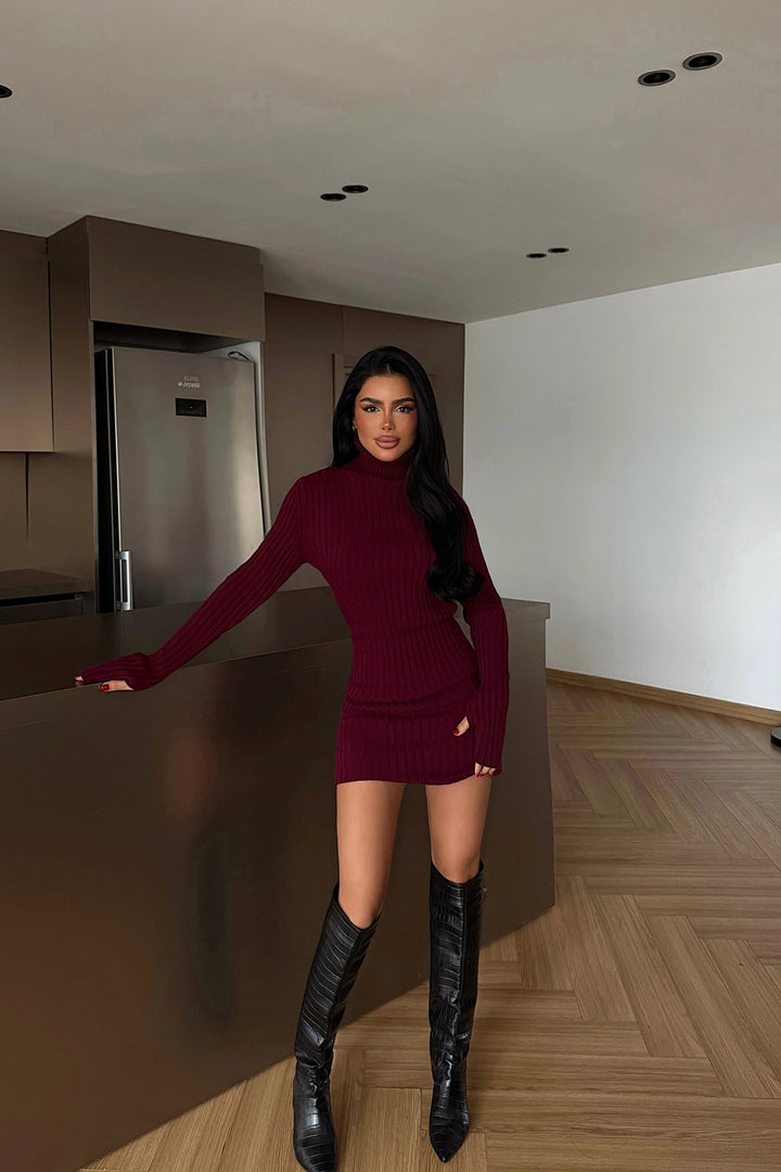 EYY Women Burgundy Zurich Knit Dress - Draguignan