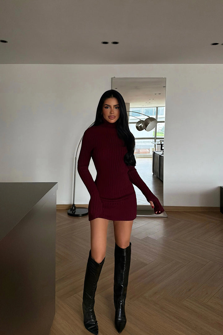 EYY Women Burgundy Zurich Knit Dress - Draguignan