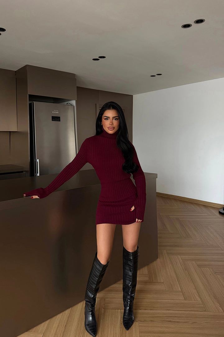 EYY Women Burgundy Zurich Knit Dress - Draguignan