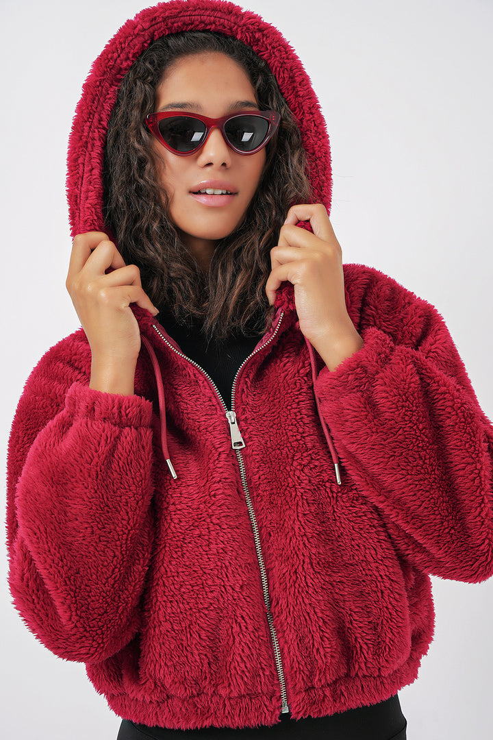 BGD Women Hooded Plush Crop Jacket - Burgundy - Pryluky