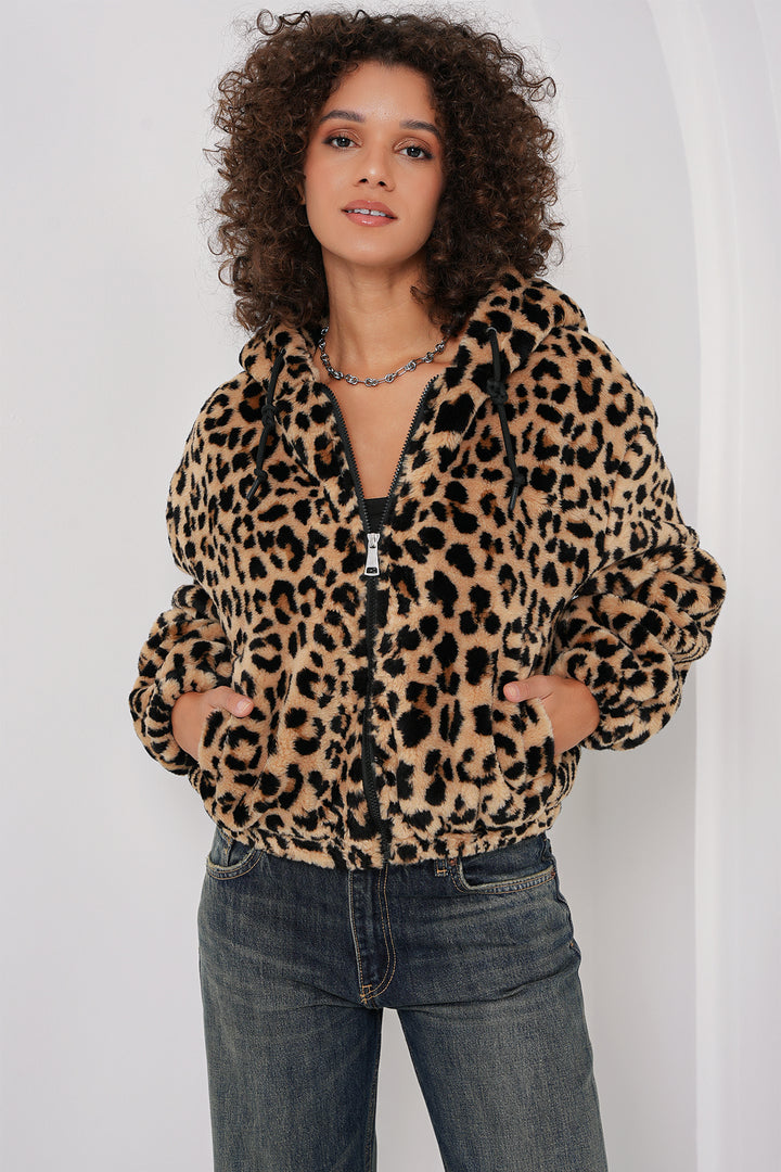 BGD Women Hooded Plush Crop Jacket - Dark Brown - Flagstaff