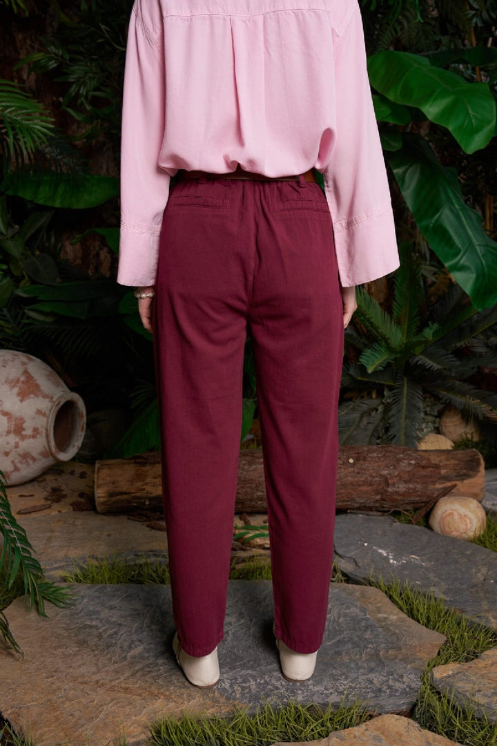 XLJ Elasticated Waist Carrot Pants - Tracy