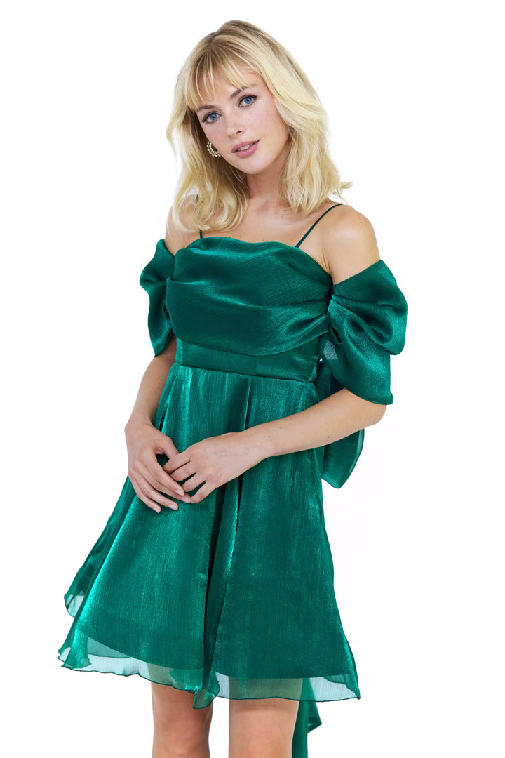 FRV Green tulle sleeveless mini dress - Cedar Rapids