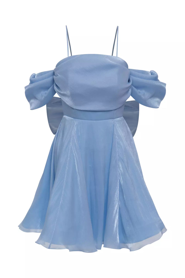 FRV Blue tulle sleeveless mini dress - Omaha