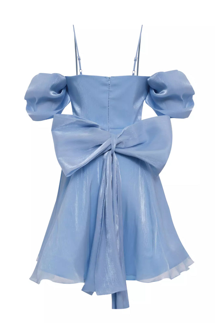 FRV Blue tulle sleeveless mini dress - Omaha