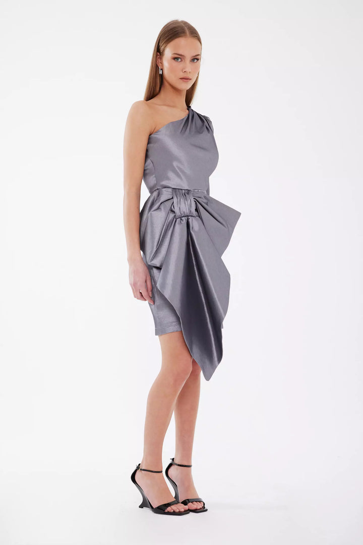 FRV Gray tafta single sleeve mini dress - Brighton