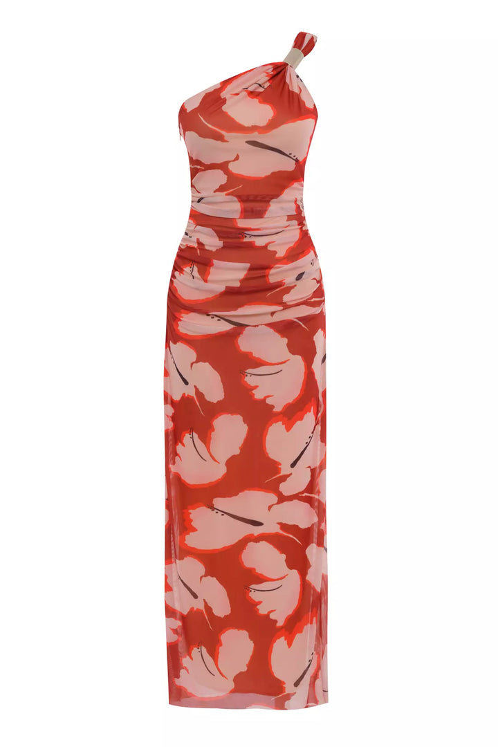 FRV tulle single sleeve long dress - Iguala de la Independencia