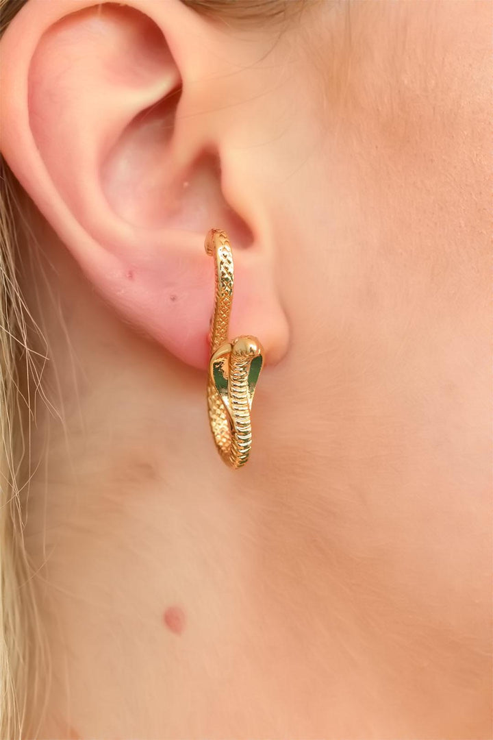 EBJ Snake Design Women's Earrings - Manalapan