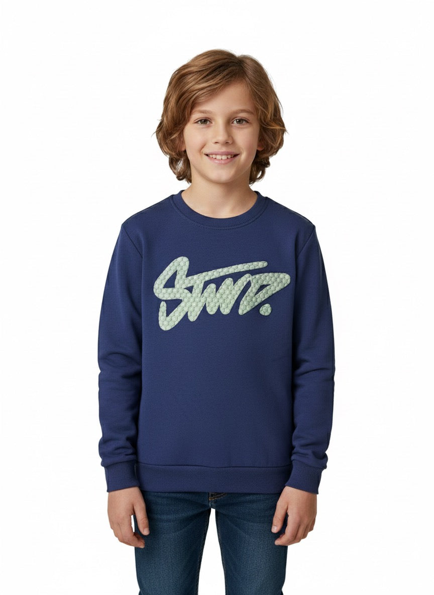 MPL Boy Sweatshirt 4081 - Virginia Beach