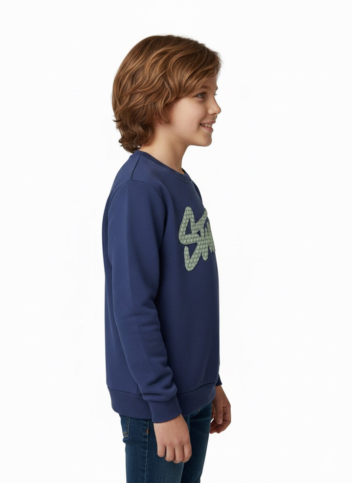 MPL Boy Sweatshirt 4081 - Virginia Beach