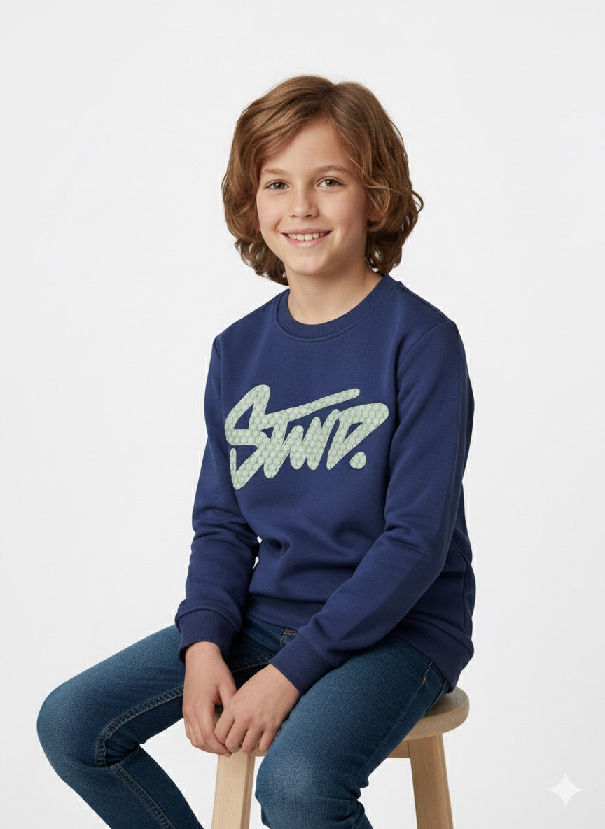 MPL Boy Sweatshirt 4081 - Virginia Beach