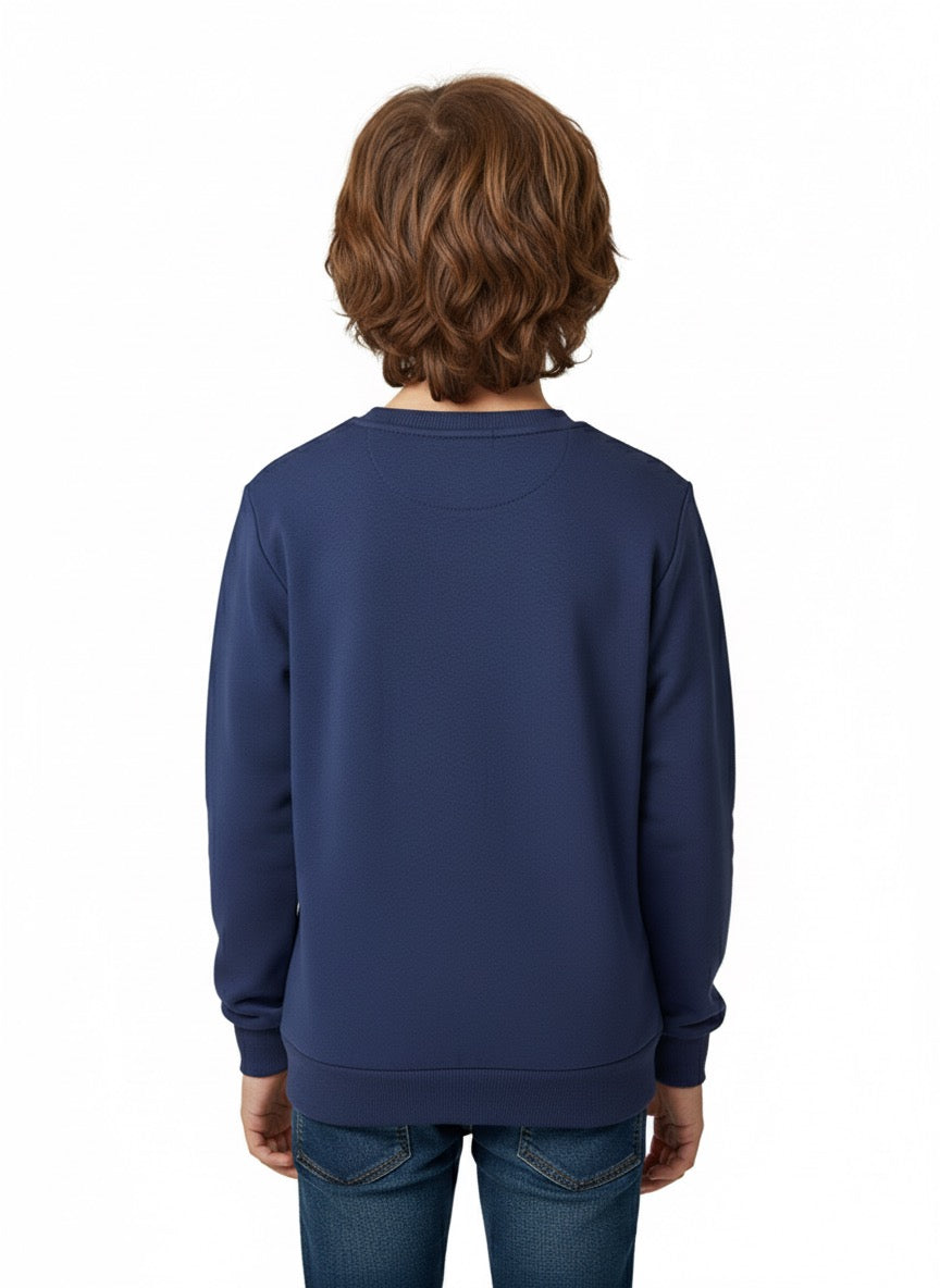 MPL Boy Sweatshirt 4081 - Virginia Beach