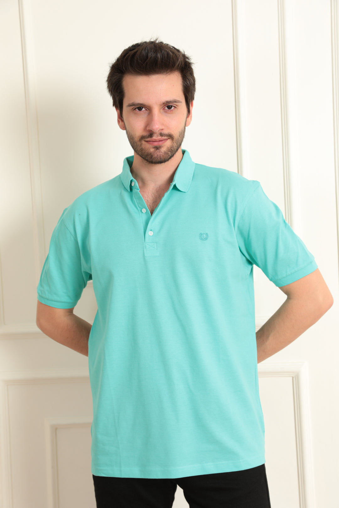 MPL Men's Plus Size Polo Neck T-shirt 1012 - Coachella