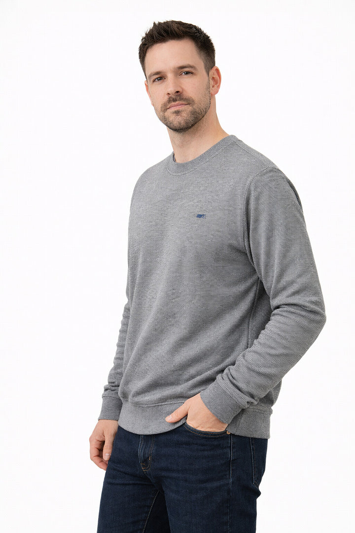 MPL Erkek Bisiklet Yaka Selanik Sweat - Cento