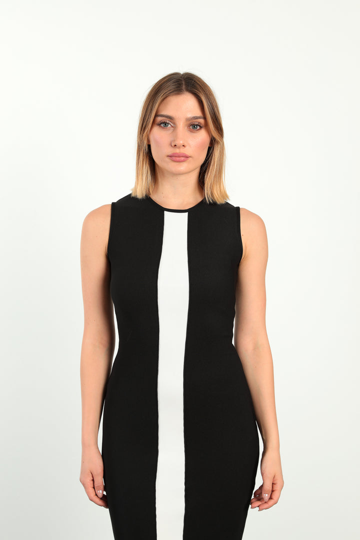 MPL Woman Garnished Bodice Dress 1890 - East Brunswick