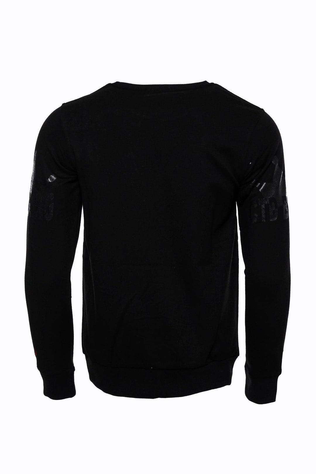 WSS Hooded Silver Grey Tiger Patterned Black Slim Fit Sweatshirt  - Six-Fours-les-Plages