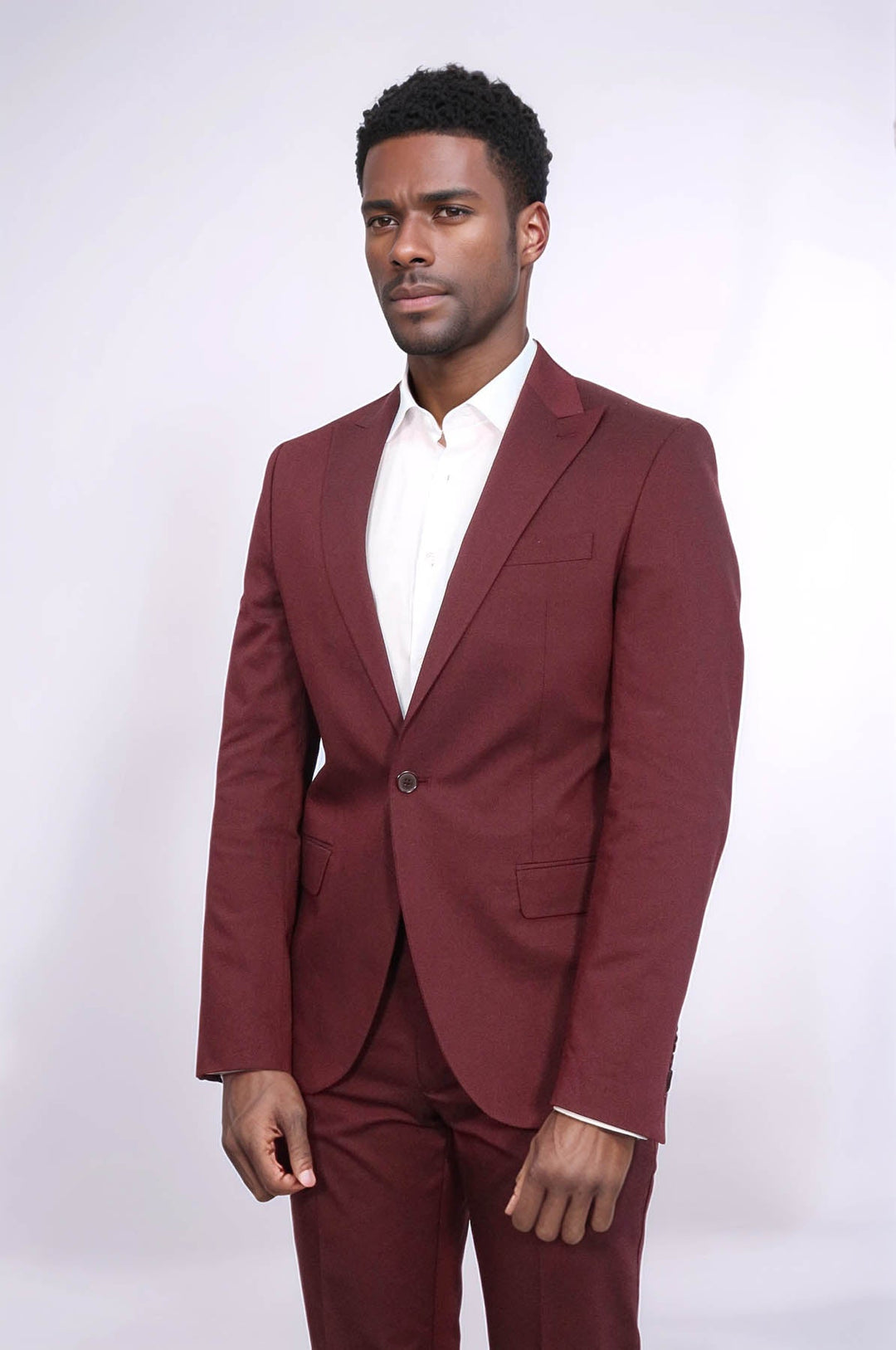 WSS Single Buttons 2 Piece Burgundy Men Suit  - Ahrensburg