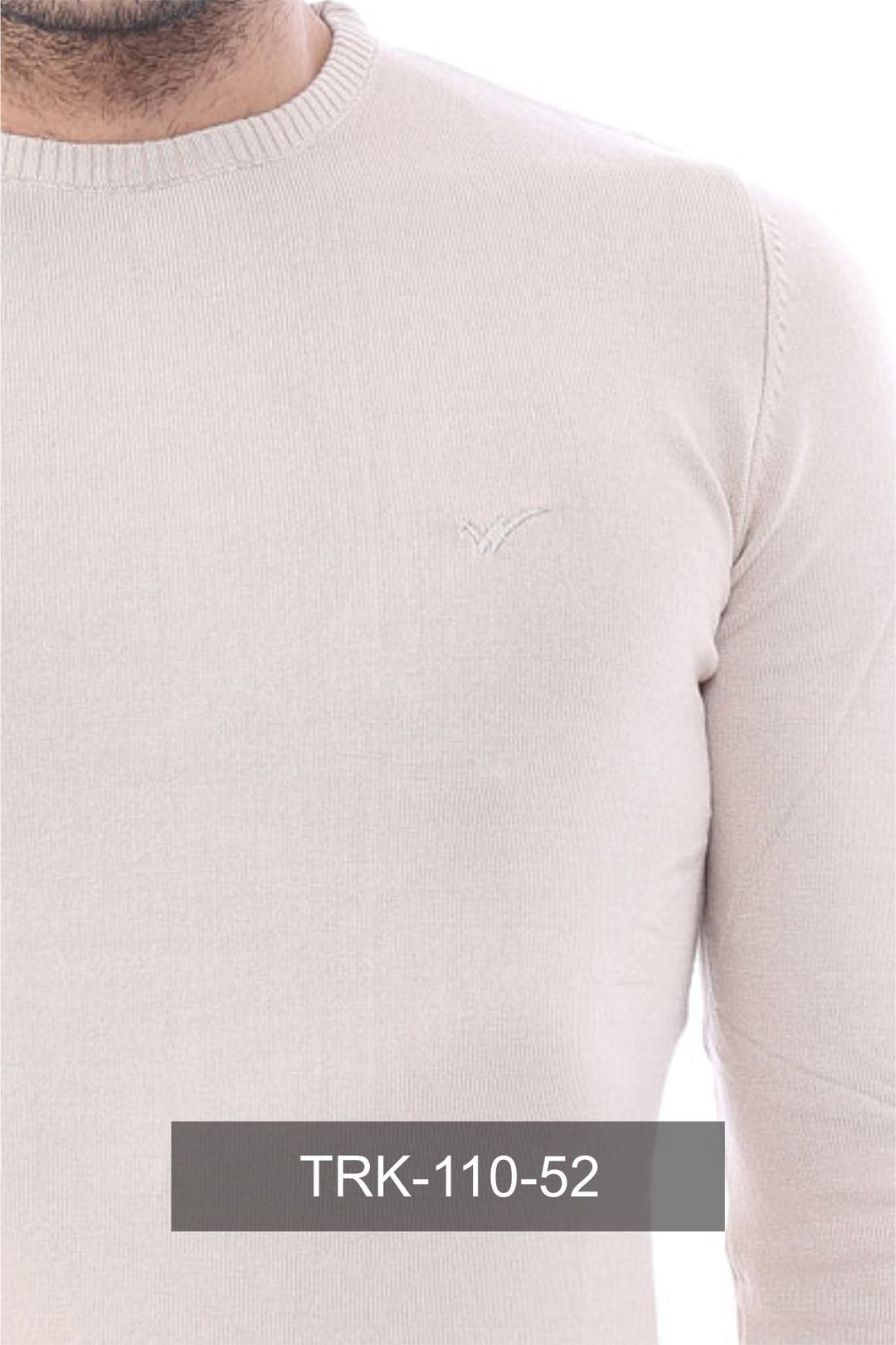WSS Beige Slim Fit Long-Sleeve Knitwear  - Kearny